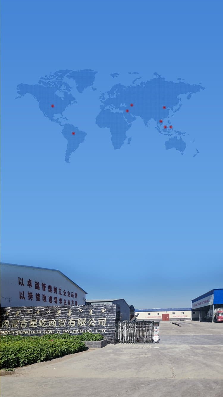 XingYi Trading facility gate with global export markets