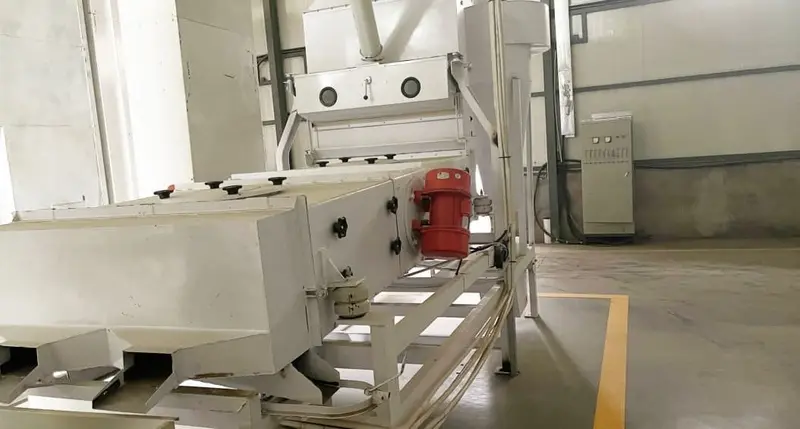 Sunflower seed cleaning and screening equipment inside the production facility