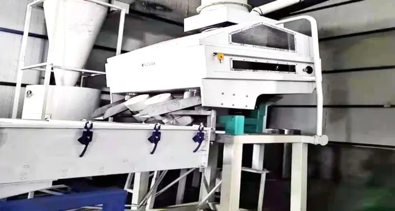 Secondary stone removal equipment on the sunflower seed processing line