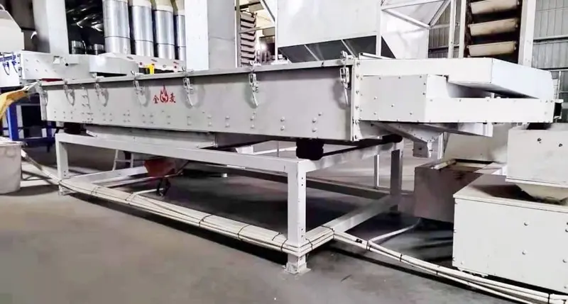 Secondary screening equipment separating sunflower seed kernels by size