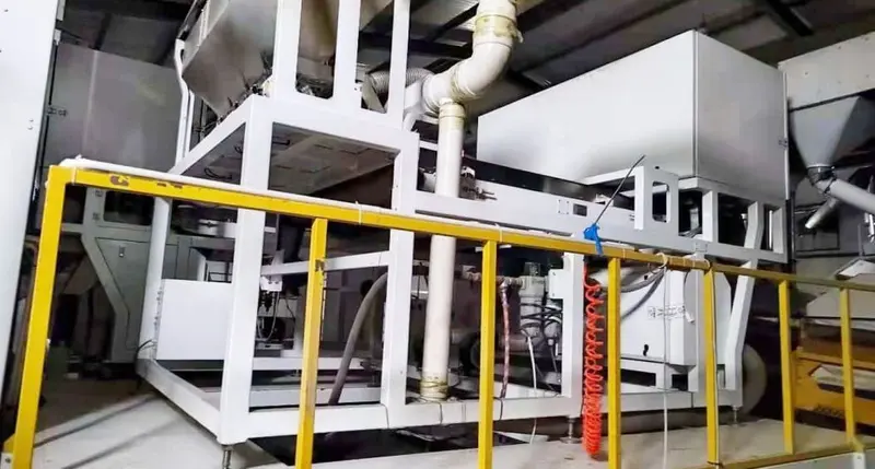 Secondary color sorting equipment on the sunflower seed production line