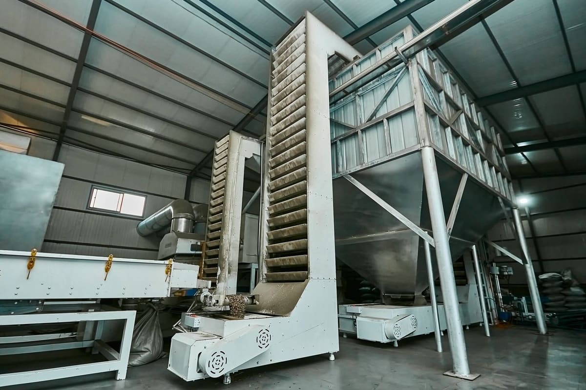 Sunflower seed processing line preparing an export order