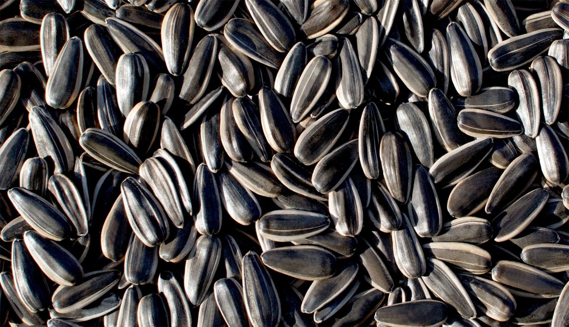 Sunflower seed kernels arranged for recipe preparation