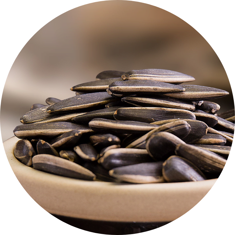 Raw sunflower seed kernels in a bowl, ready for packing