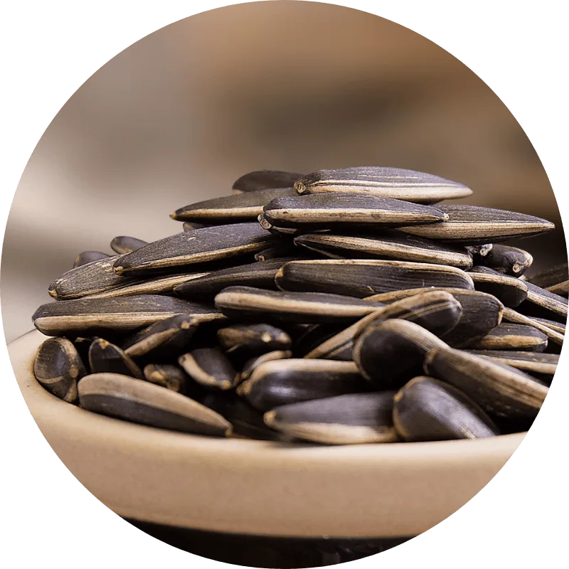 Close-up of XingYi Trading's confectionery sunflower seeds