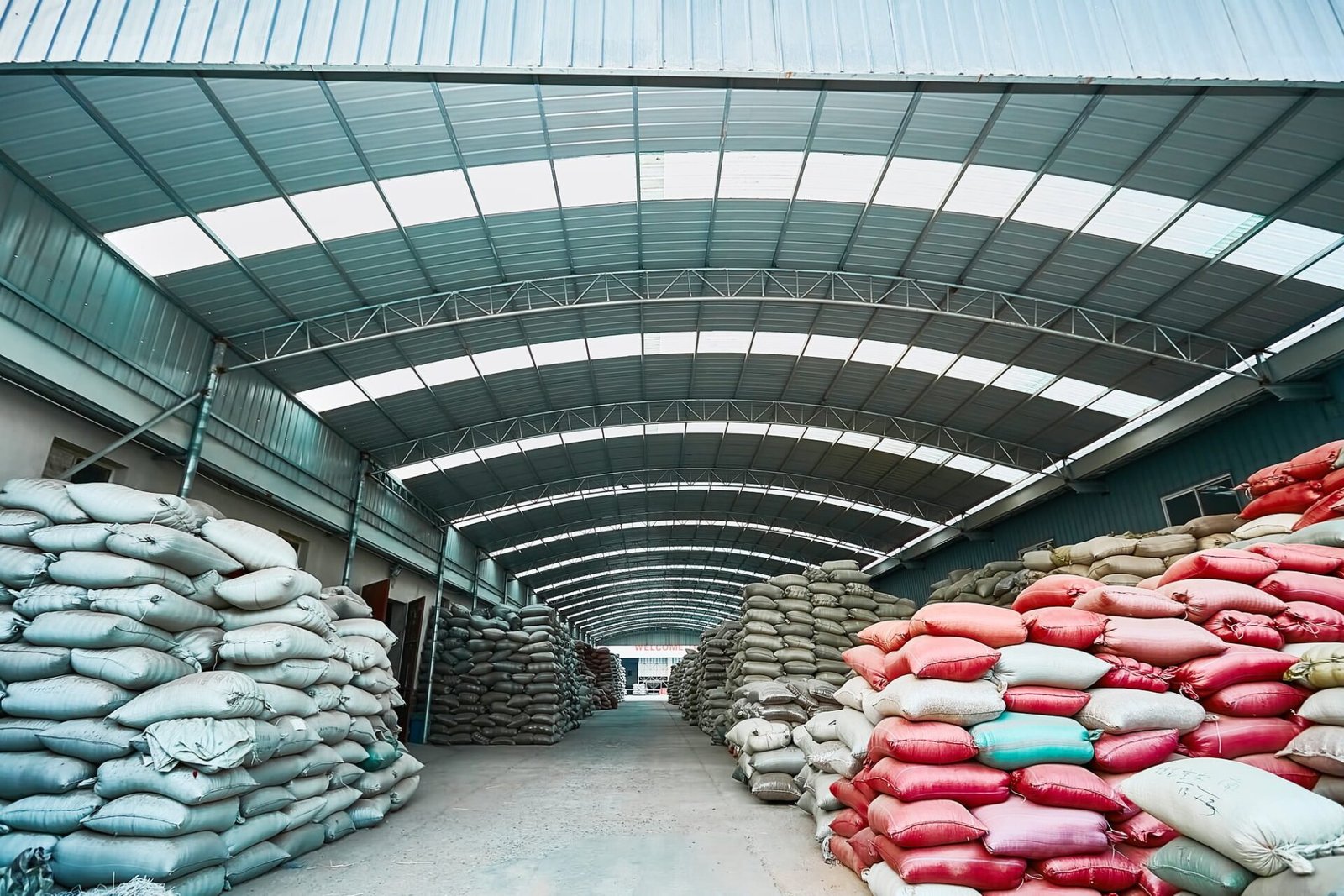 Sunflower seeds stored in warehouse bins