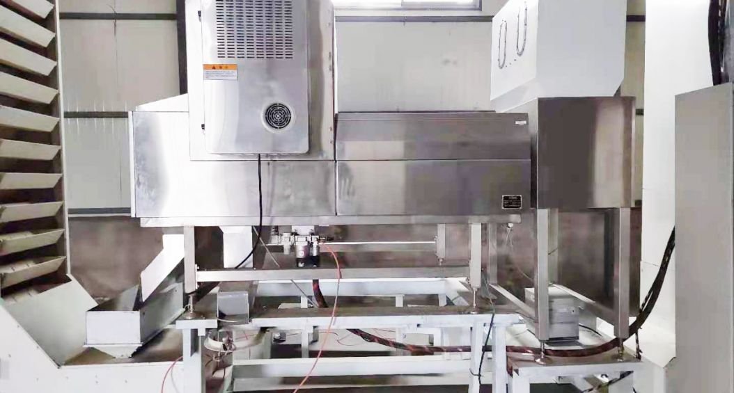 Industrial X-ray inspection system for seed quality control. The image shows a large machine with a conveyor belt passing through an enclosed section, likely housing the X-ray equipment. A digital display screen is visible, showing real-time images of the seeds being inspected. This advanced technology ensures high-quality standards in seed processing by detecting internal defects or foreign materials.